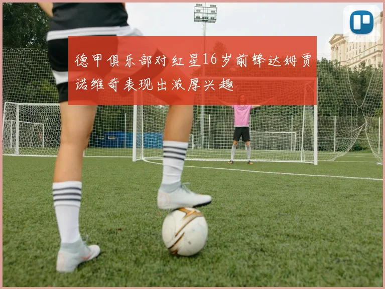 德甲俱乐部对红星16岁前锋达姆贾诺维奇表现出浓厚兴趣