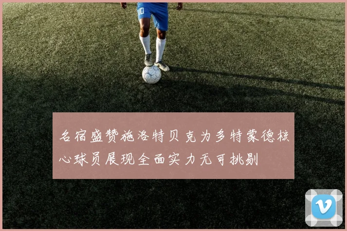 名宿盛赞施洛特贝克为多特蒙德核心球员展现全面实力无可挑剔