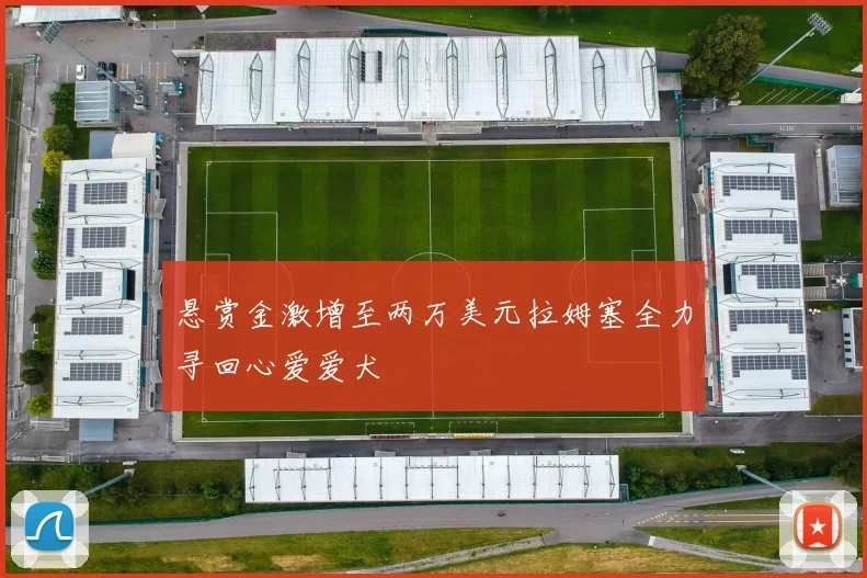 悬赏金激增至两万美元拉姆塞全力寻回心爱爱犬